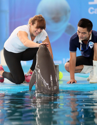 地的中学都 地的中学都