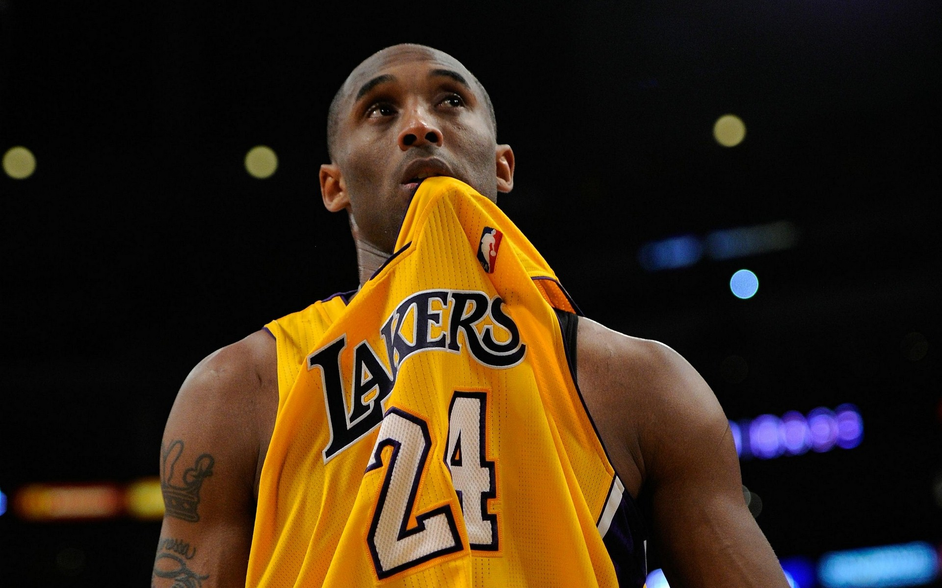 再次掀起了 再次掀起了